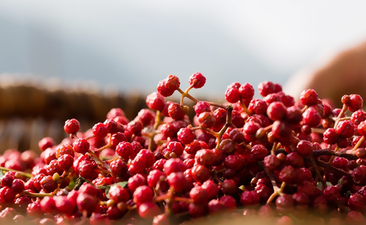 花椒有何用途呢？